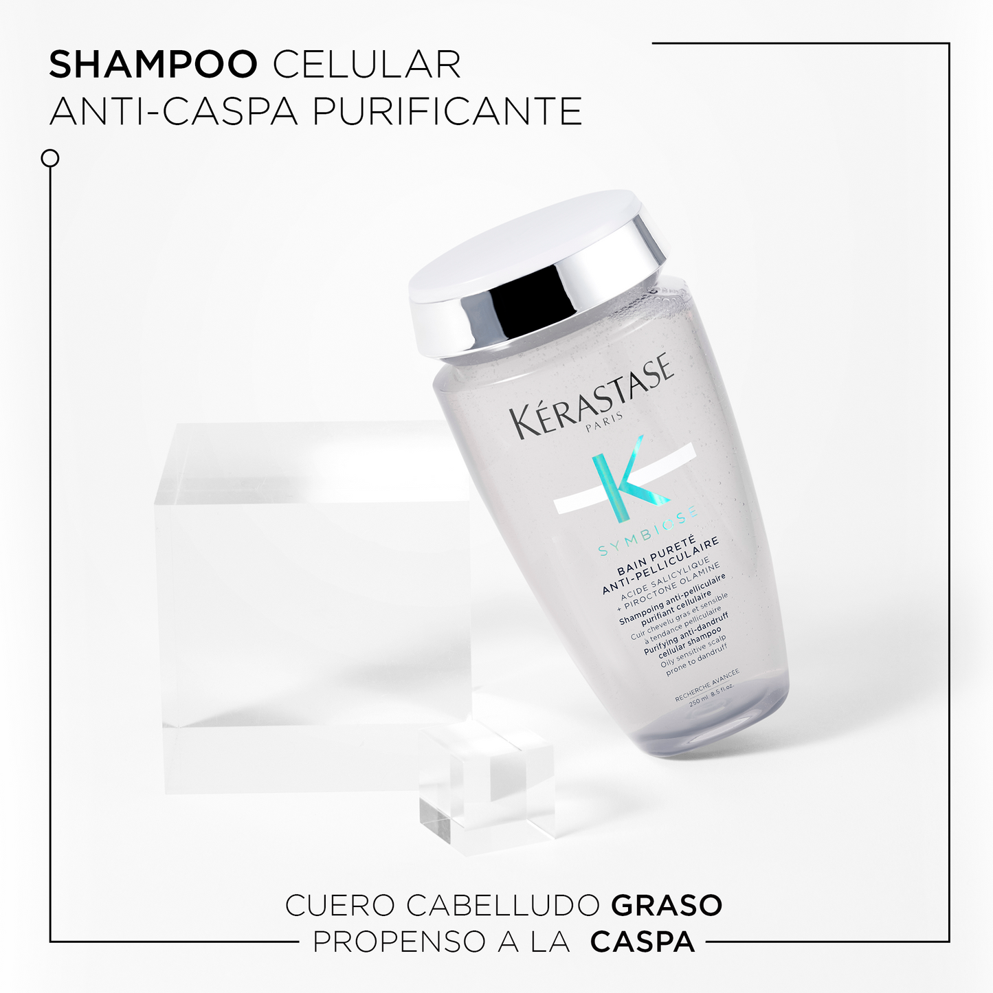 Shampoo Bain Pureté Anti-Pelliculaire / Symbiose - 250 ml