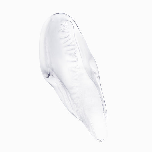 Soin Acide Chroma Gloss / Chroma Absolu - 210 ml