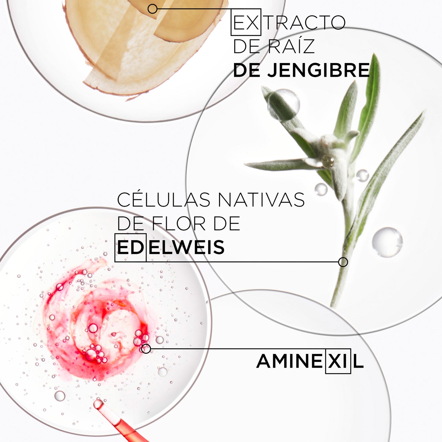 Máscara Reconstituant / Genesis - 200 ml