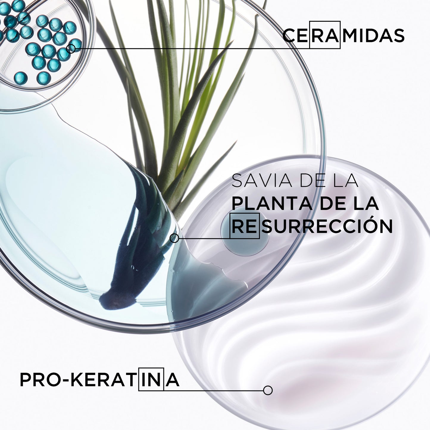 Máscara Masque Force Architecte / Résistance - 200 ml