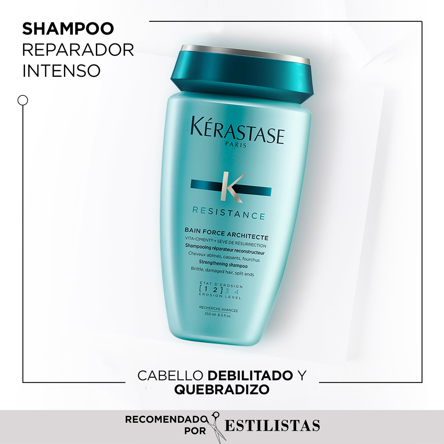 Shampoo Bain Force Architecte / Résistance - 250 ml