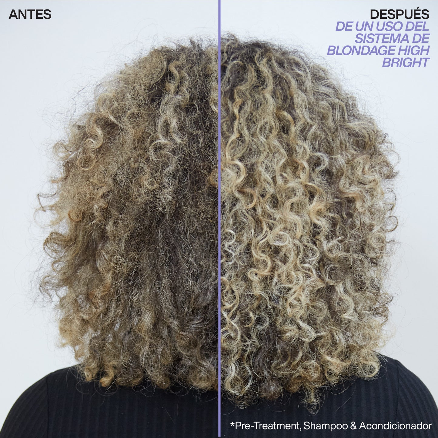 Redken – Blondage High Bright Conditioner