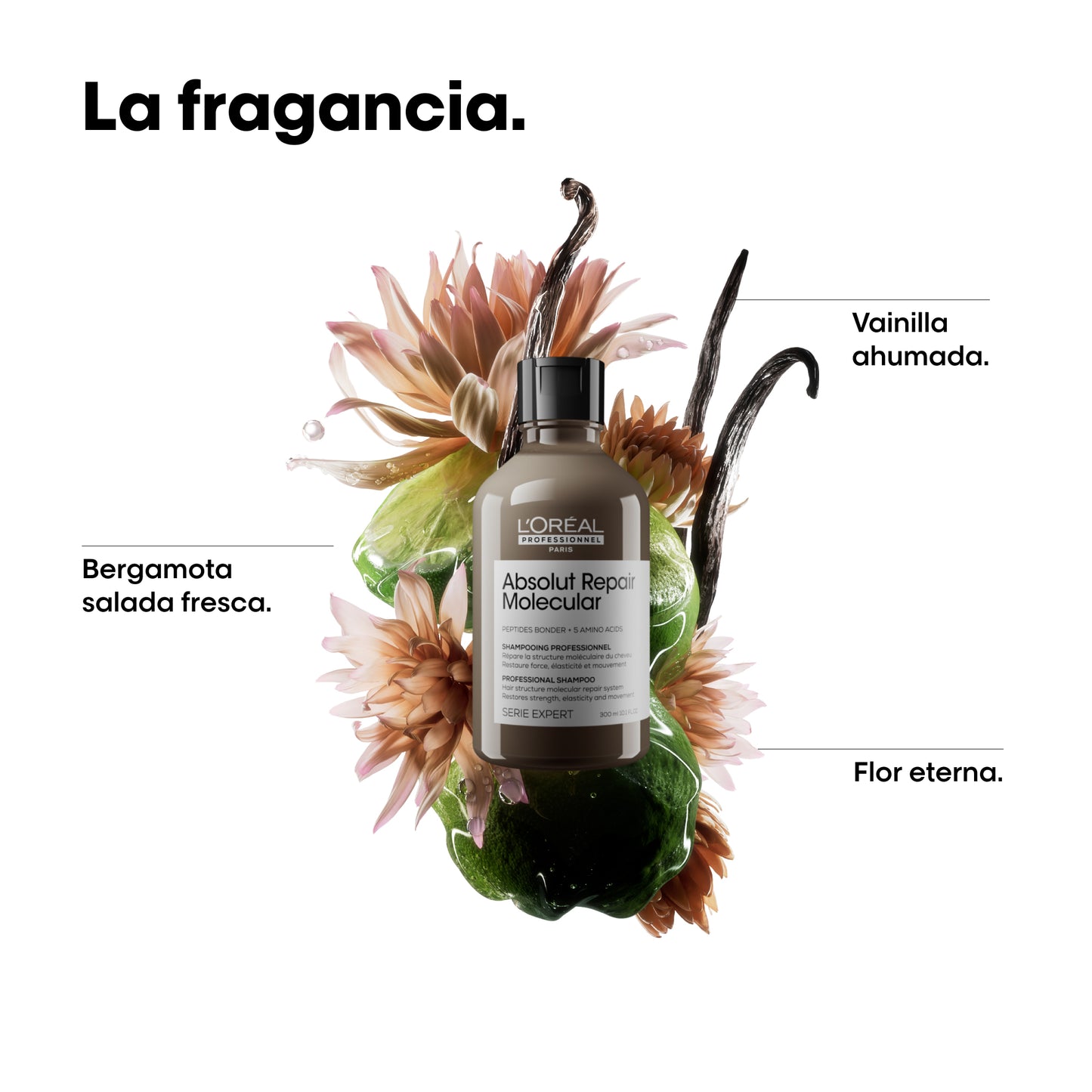 Shampoo Reparador Molecular Para Cabello Dañado Absolut Repair Molecular – 300 ml