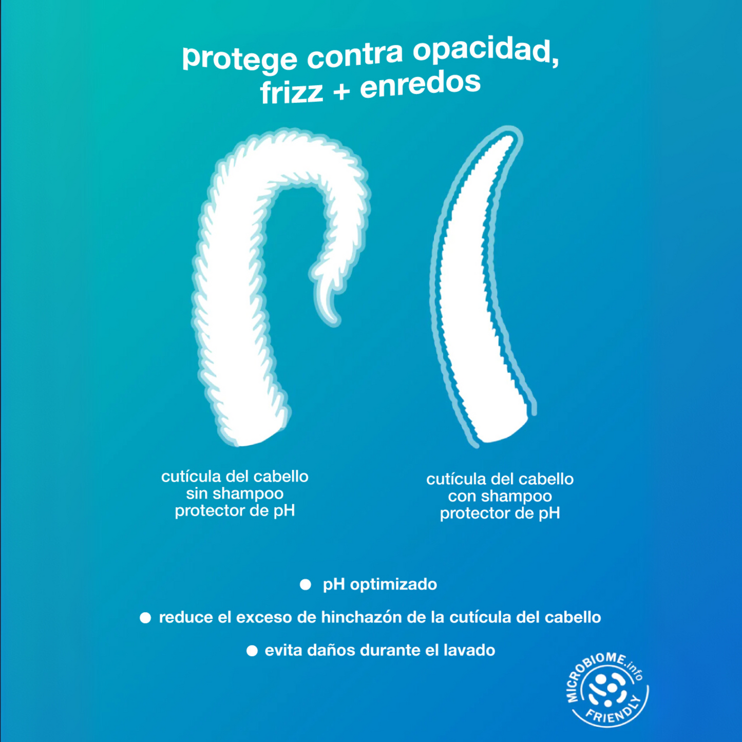 Shampoo de Mantención de pH PEPTIDE PREP™ - 250 ml