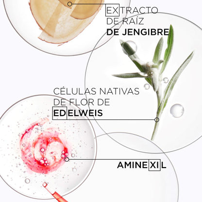 Shampoo Nutri-Fortifiant / Genesis