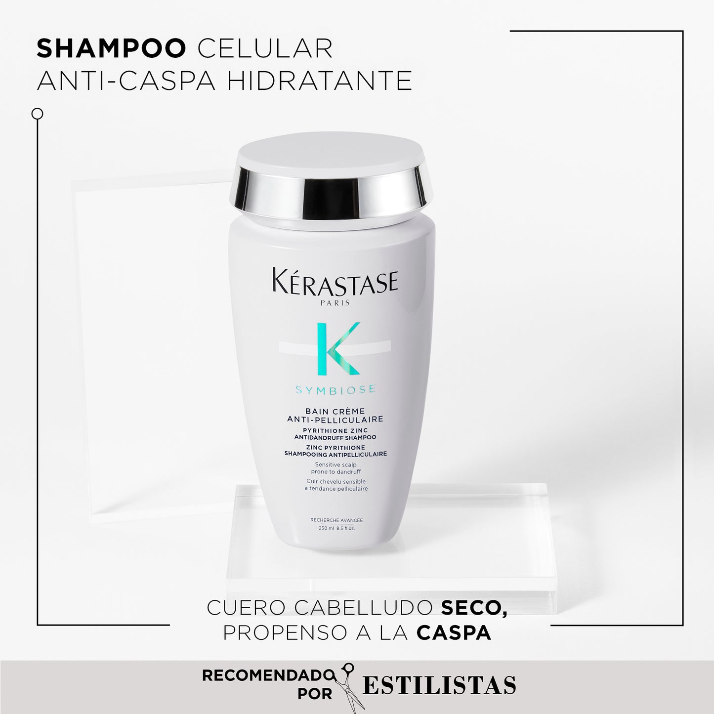 Shampoo Bain Crème Anti-Pelliculaire / Symbiose - 250 ml