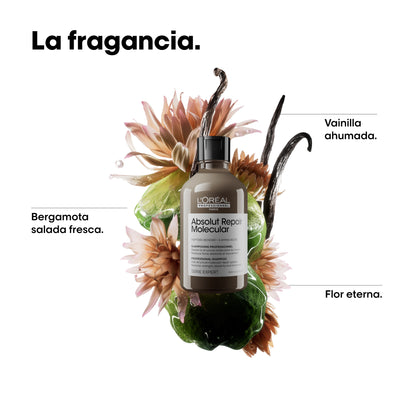 Shampoo Reparador Molecular Para Cabello Dañado Absolut Repair Molecular – 300 ml